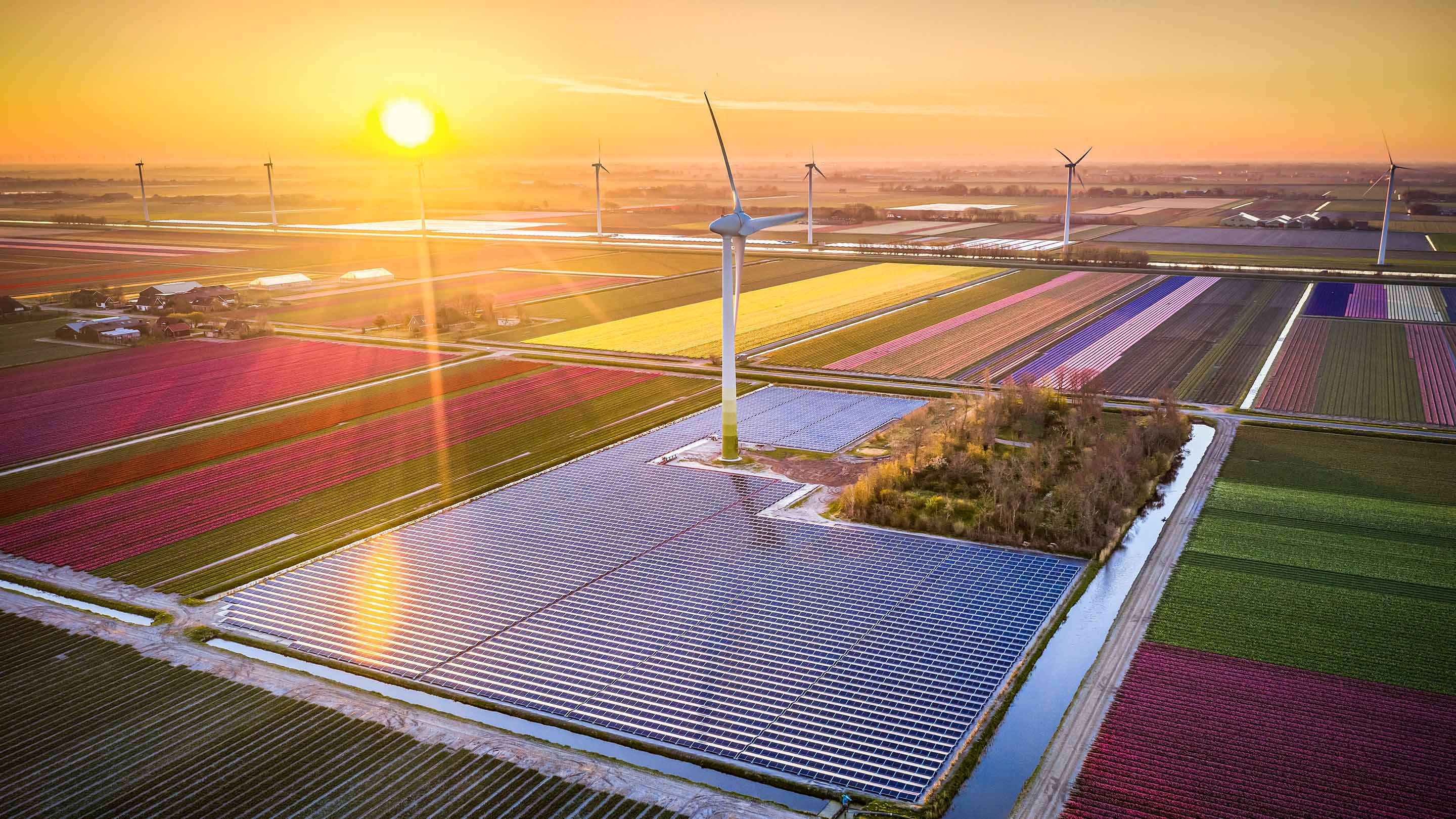 sunrise fields minimalist logo