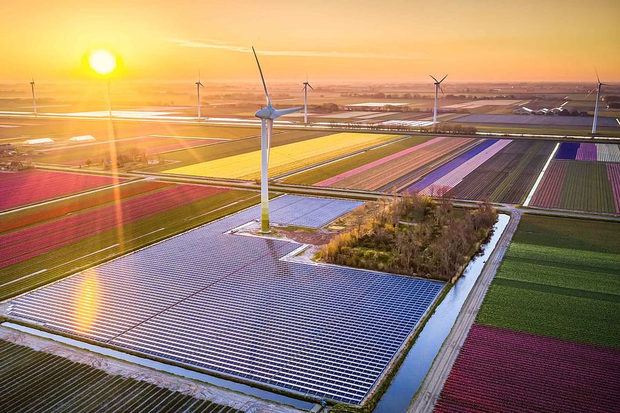 sunrise fields minimalist logo