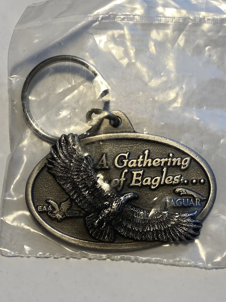 soaring eagle aviation logo